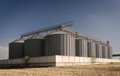Vendita e Stoccaggio Cereali